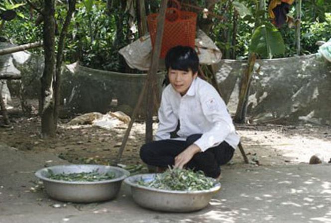Nhiều người không hiểu: Giáo viên giàu nhưng chưa chắc tiến bộ